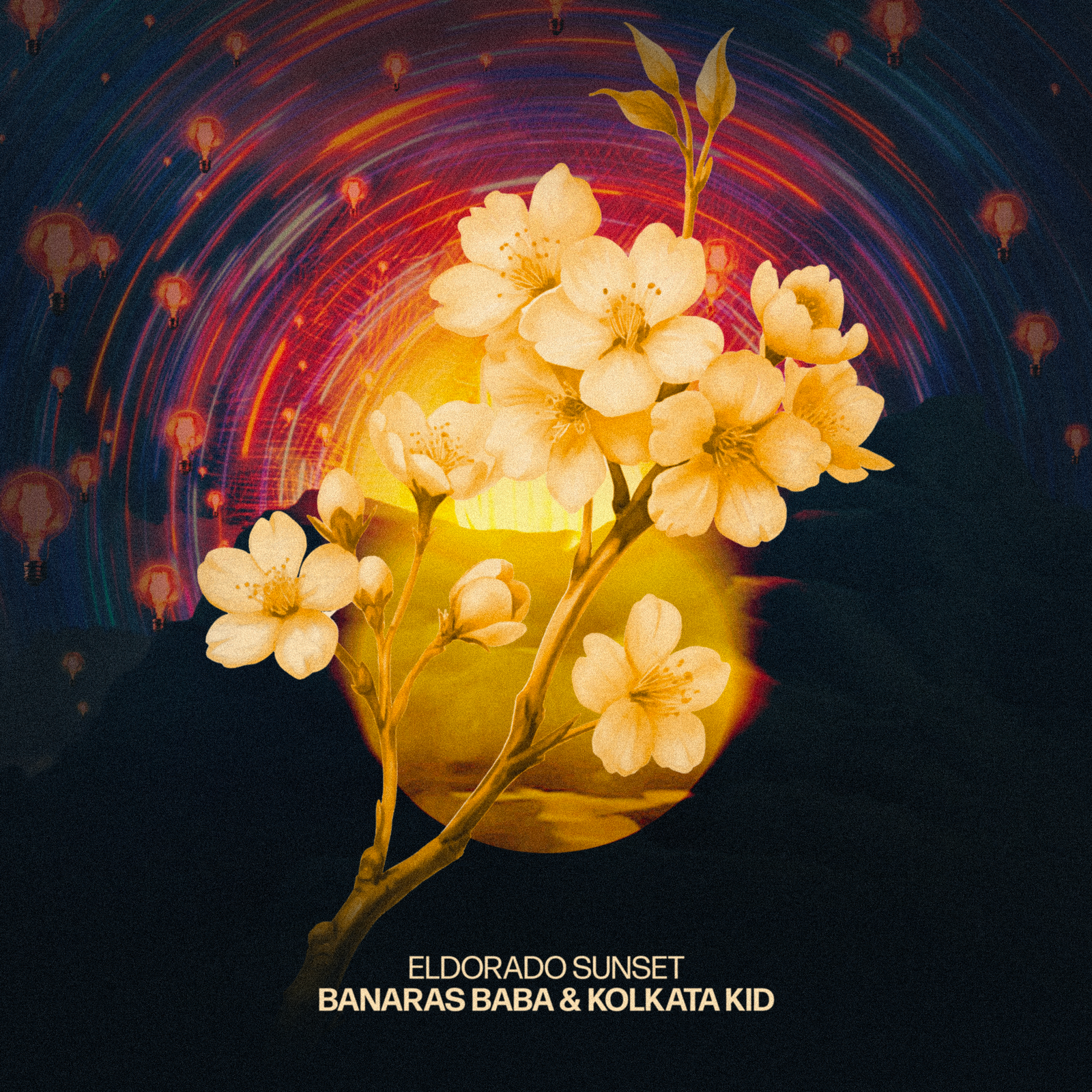 Bamboo Dreams