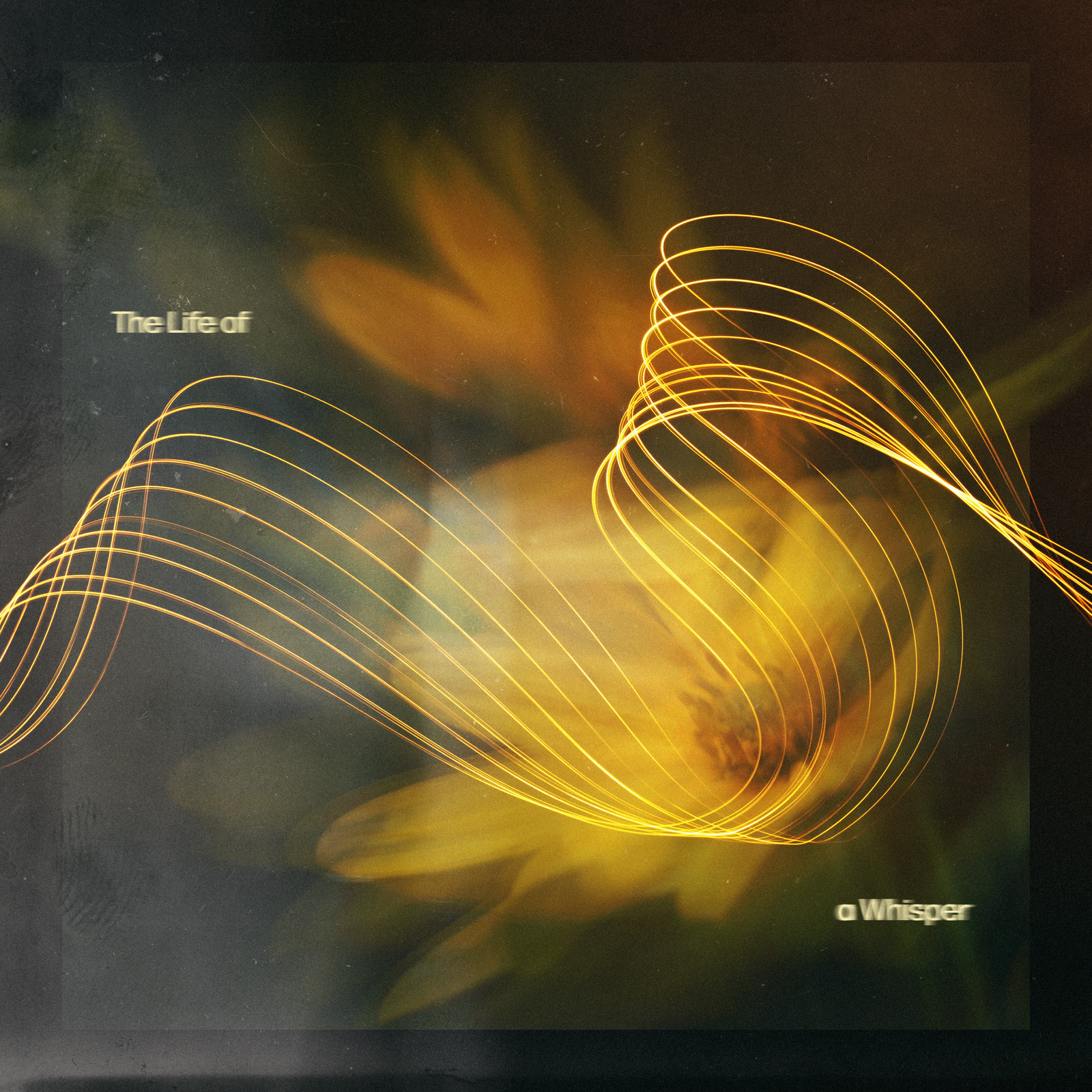 The Life of a Whisper