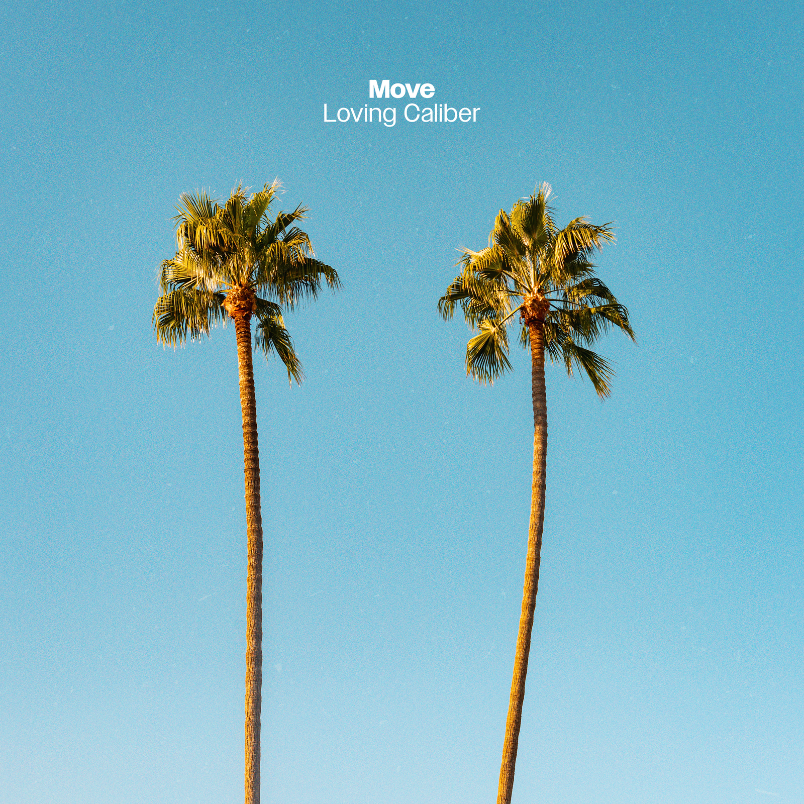 Move