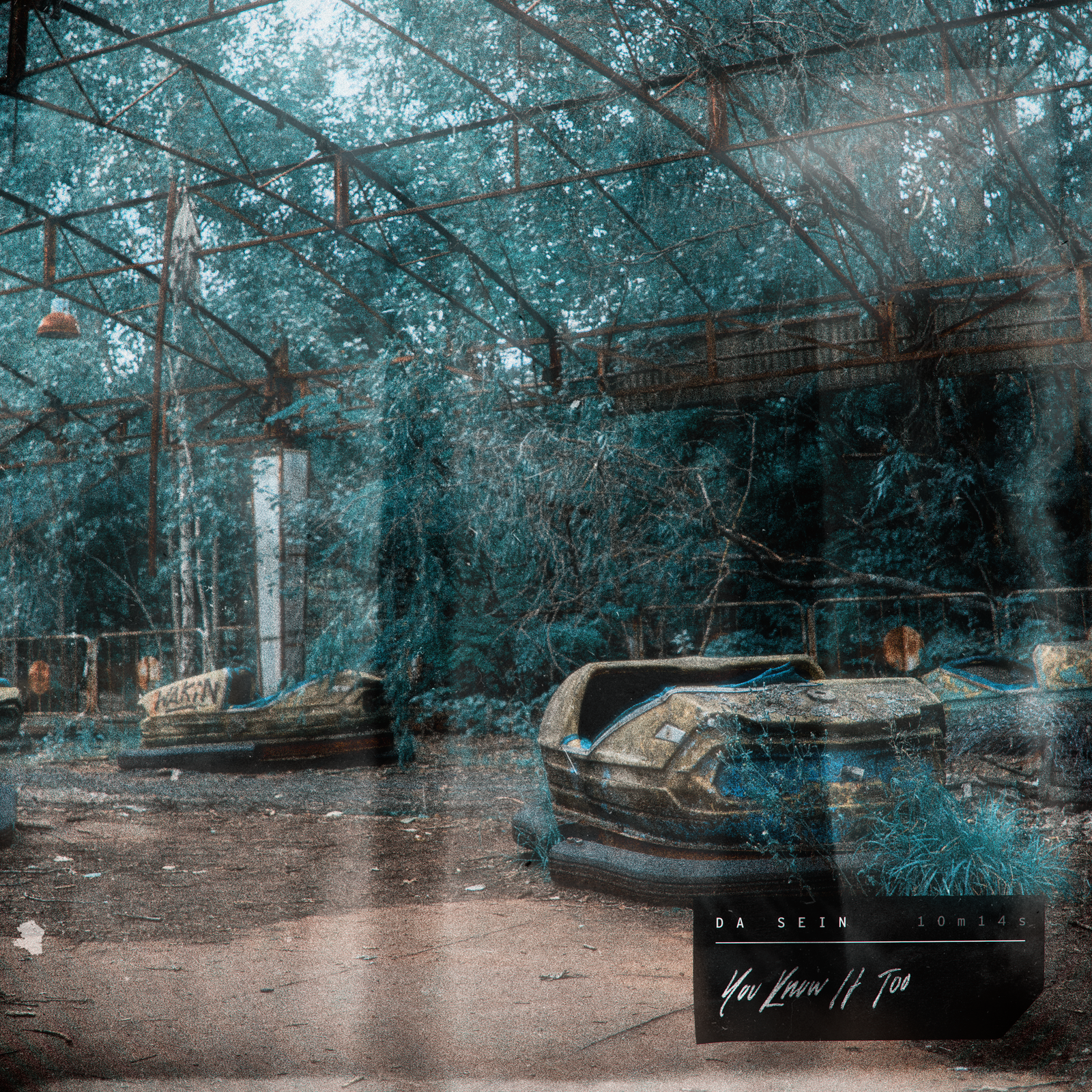 Afternoon Spring Wednesday