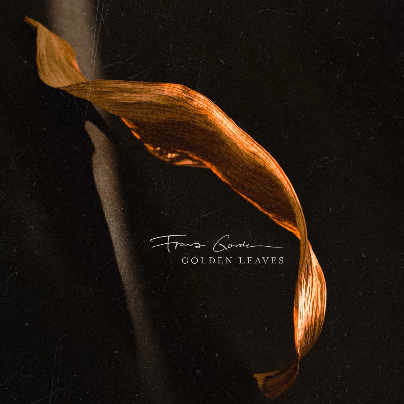 Golden Leaves