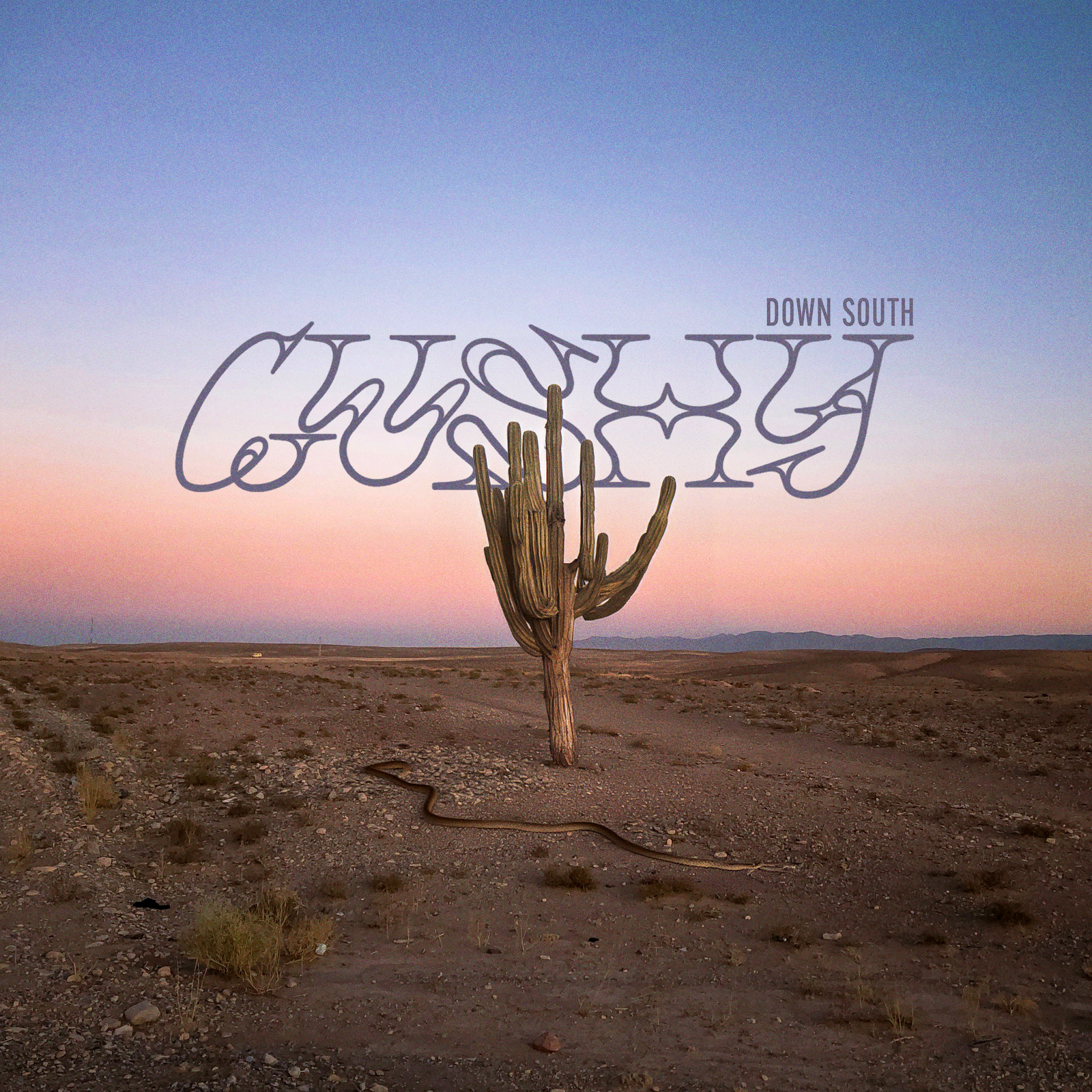 Cacti
