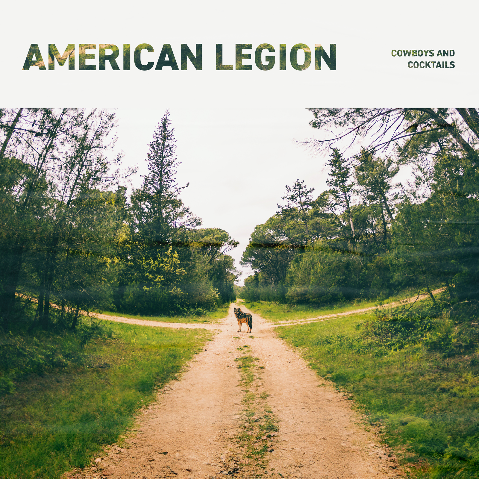 Devil at the Crossroads