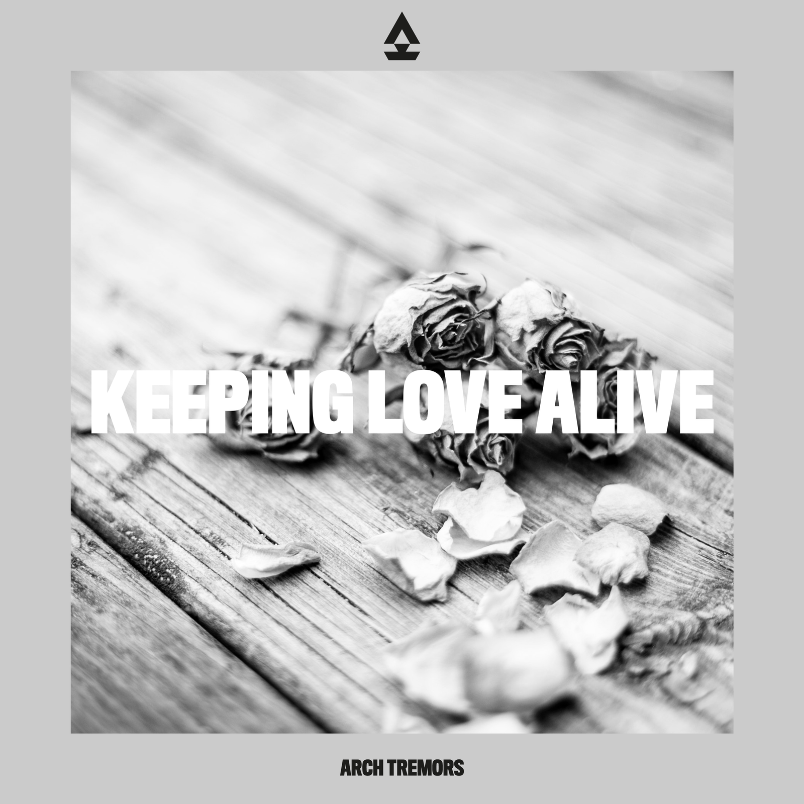 Keeping Love Alive (Paeta Remix)