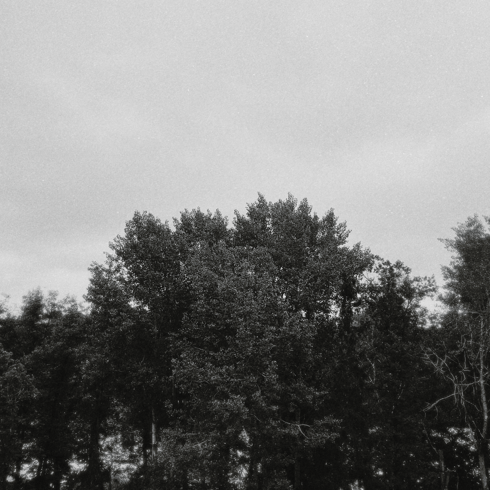 Slowly Walking towards a Dream