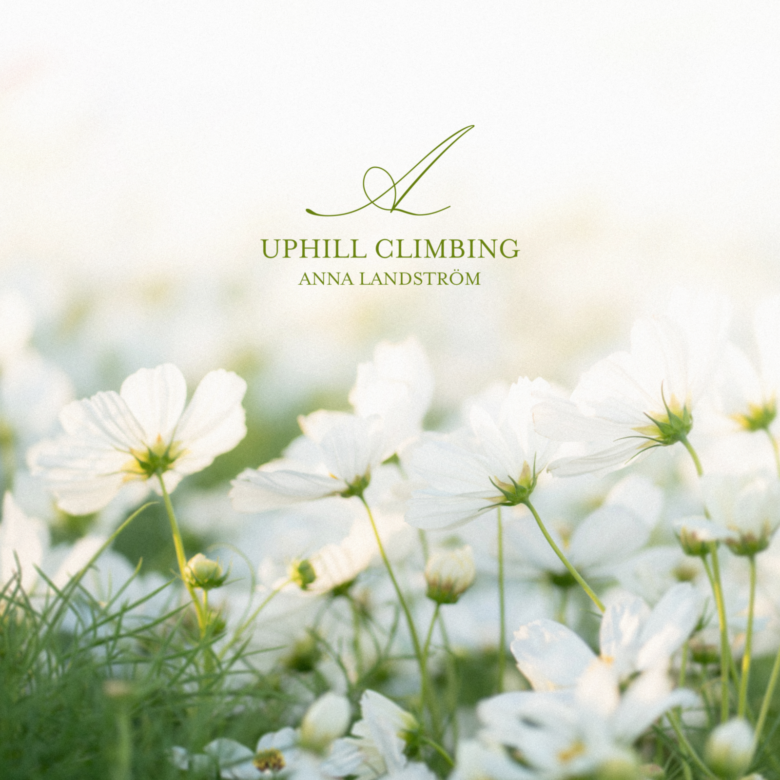 Uphill Climbing