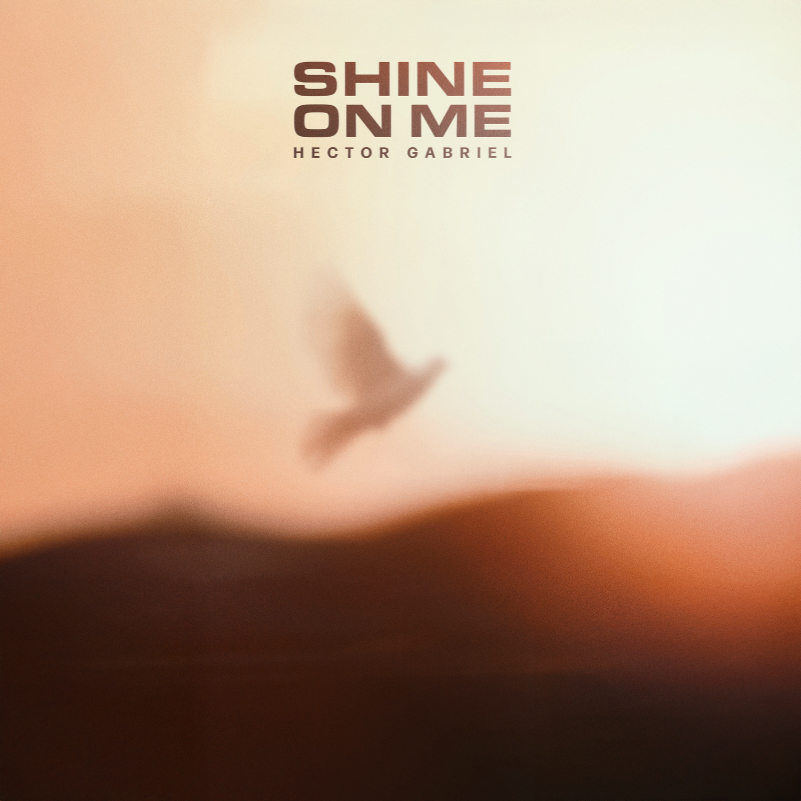 Shine on Me