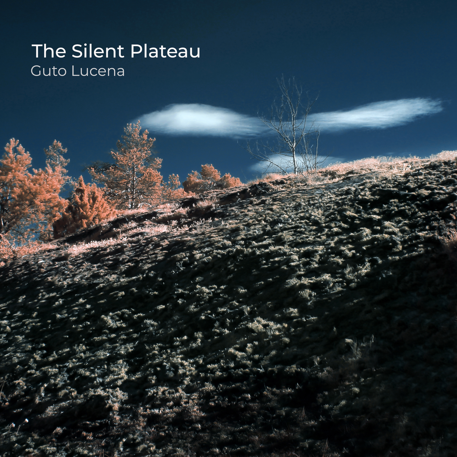 The Silent Plateau
