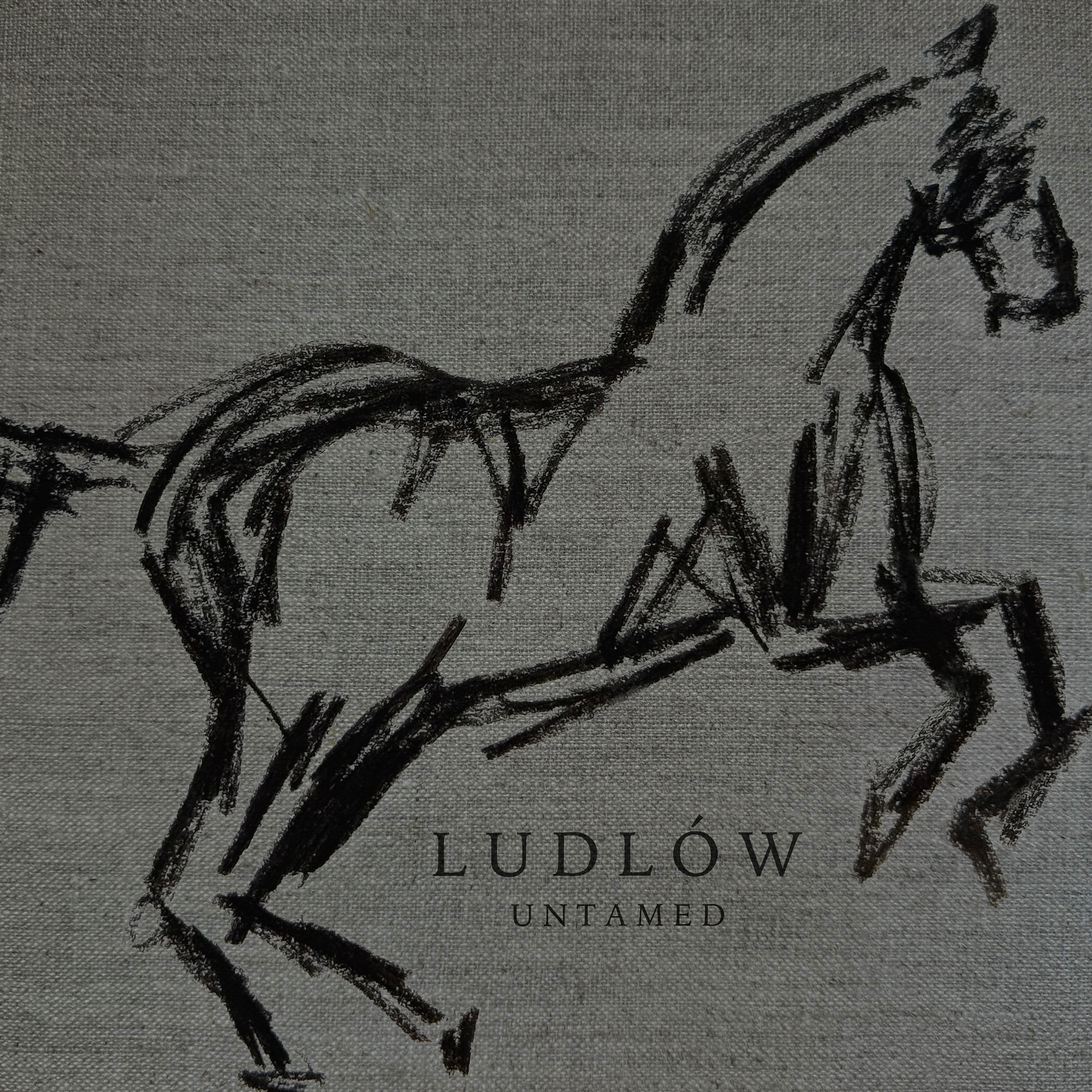 Untamed (Instrumental Version)