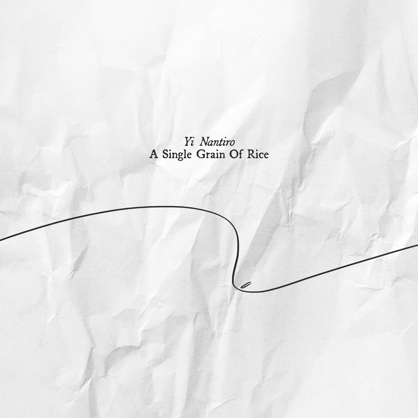 A Single Grain Of Rice