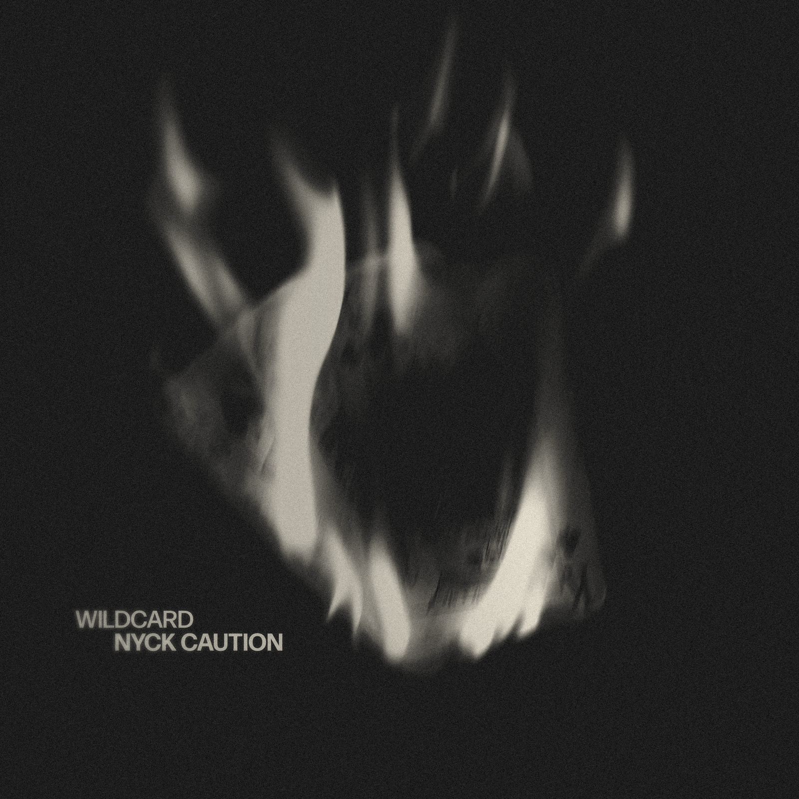 Wildcard (Clean Version)