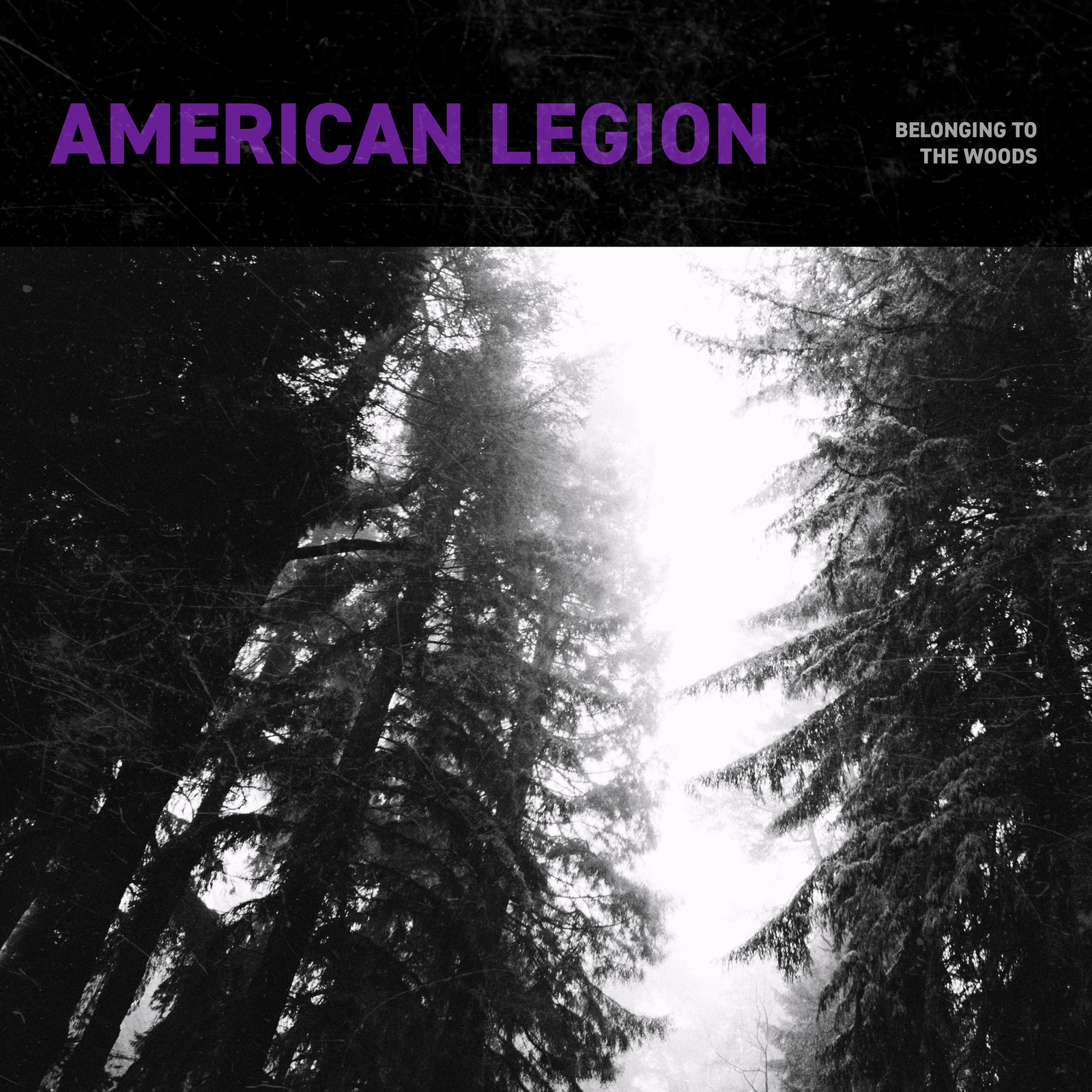 Belonging to the Woods