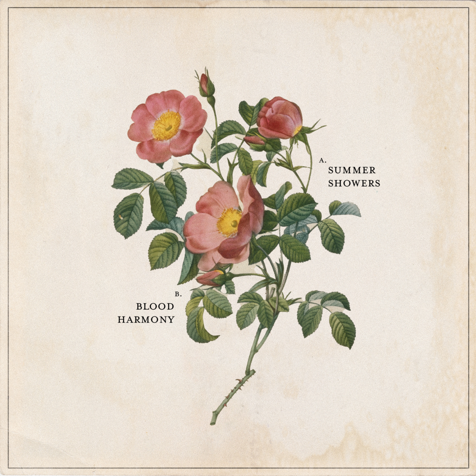 Summer Showers (Instrumental Version)