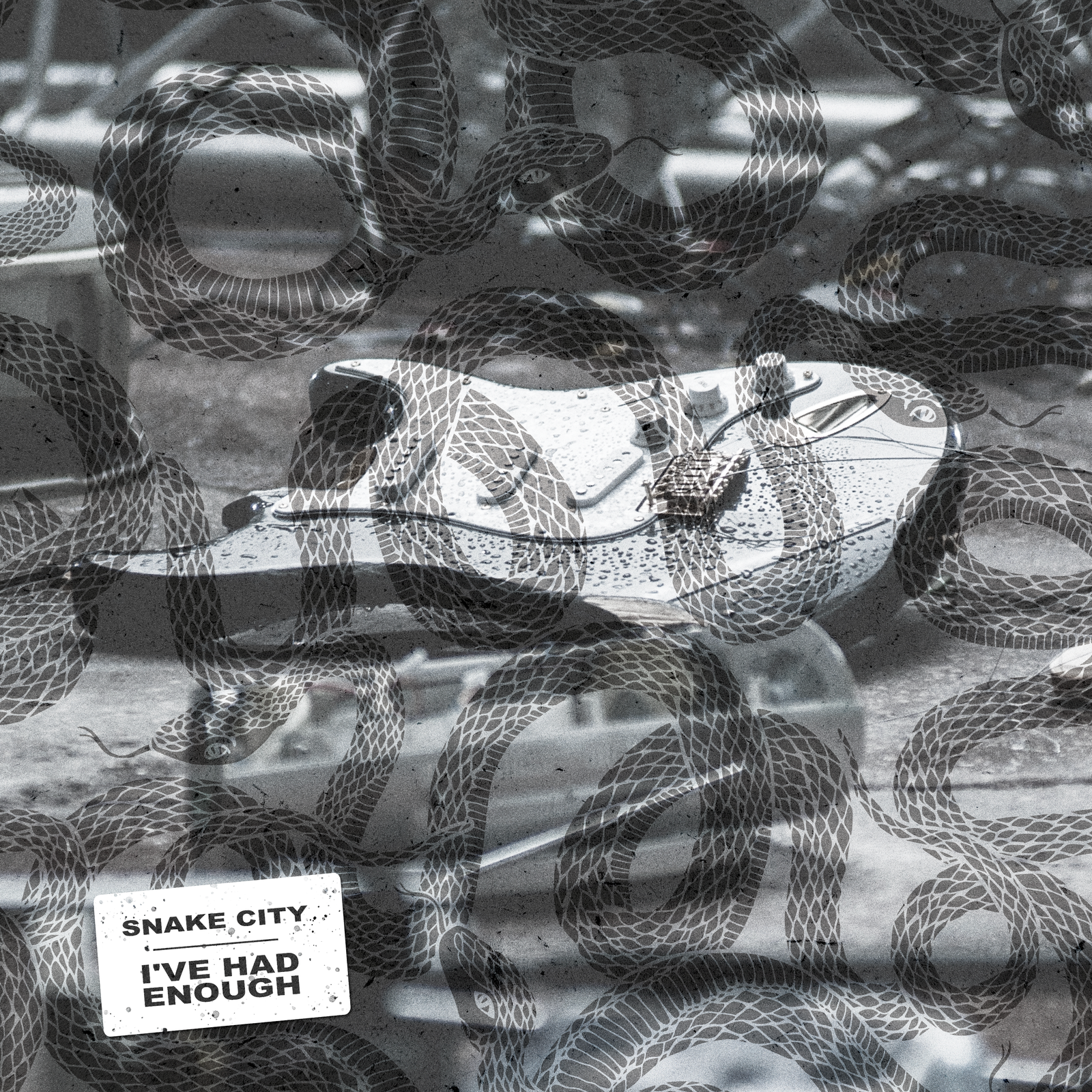 Too Old for Puppy Love