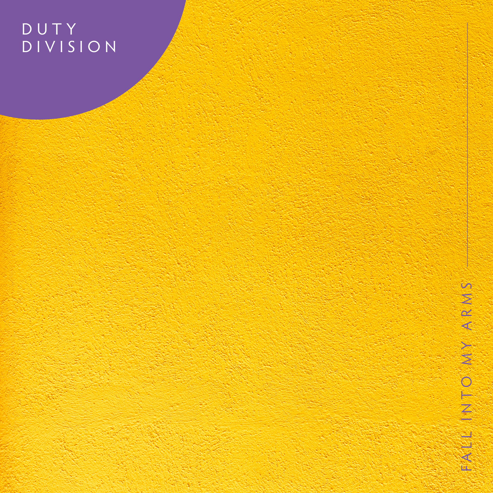 Fall Into My Arms (SLCT Remix) (Instrumental Version)