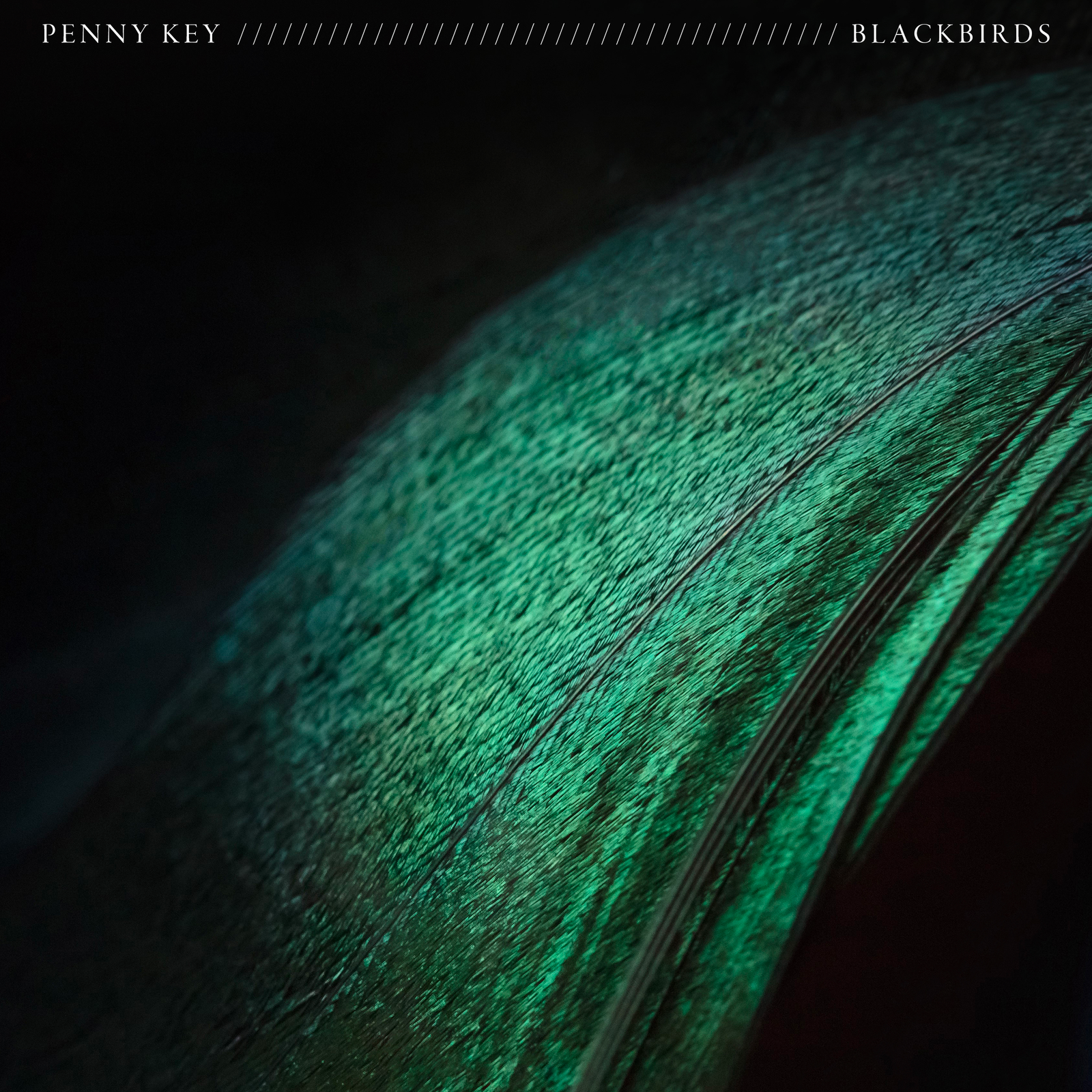 I Am a Feather, See Me Soar