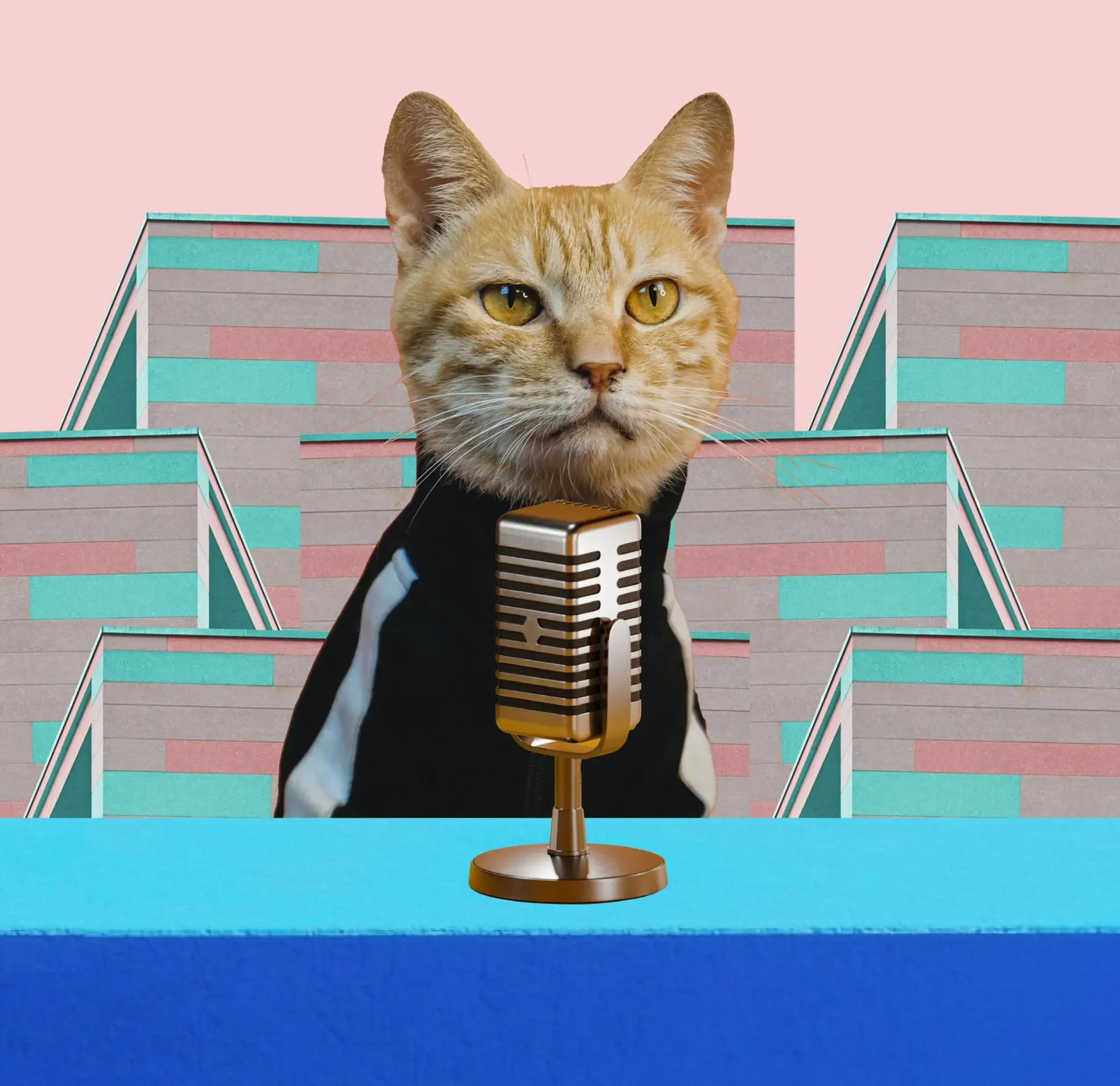 musica per podcast gatto con microfono Epidemic Sound