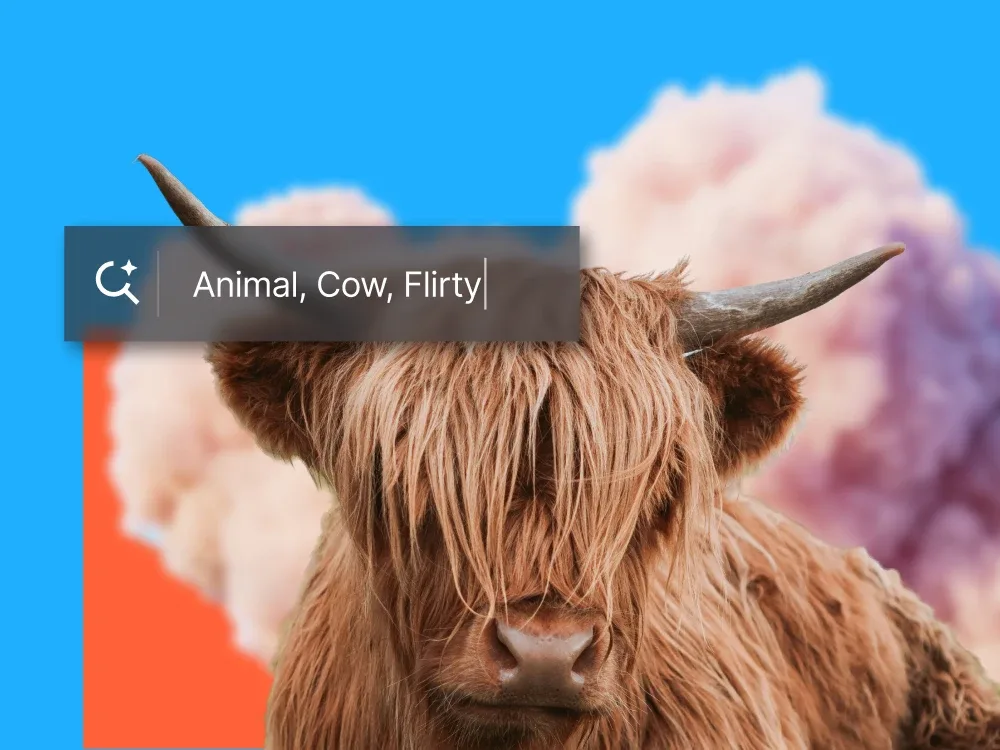 Search by description